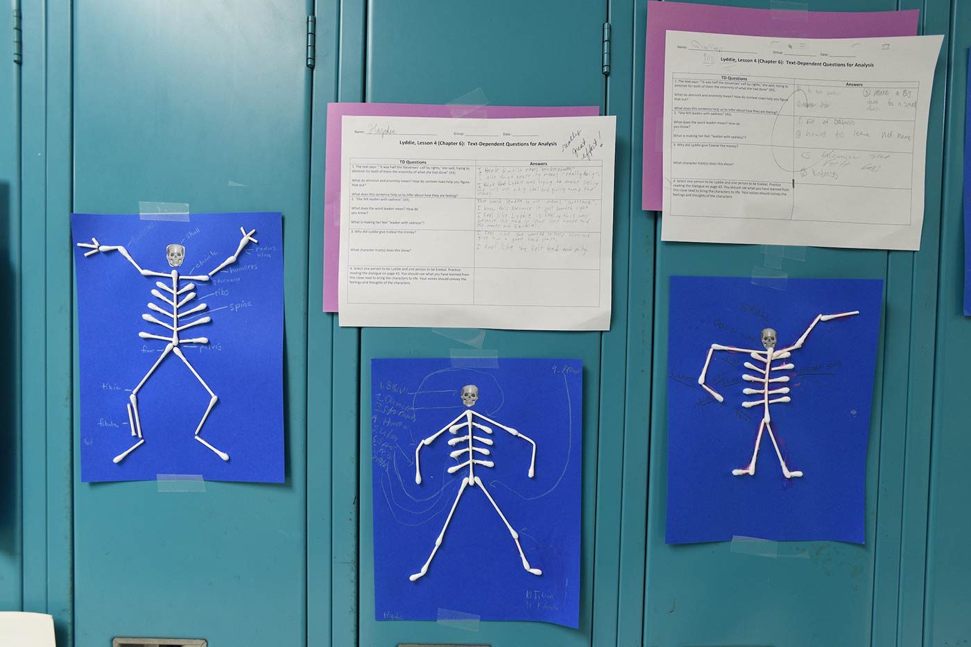 Natchaug students display their skeleton diagrams made of cotton swabs and craft paper